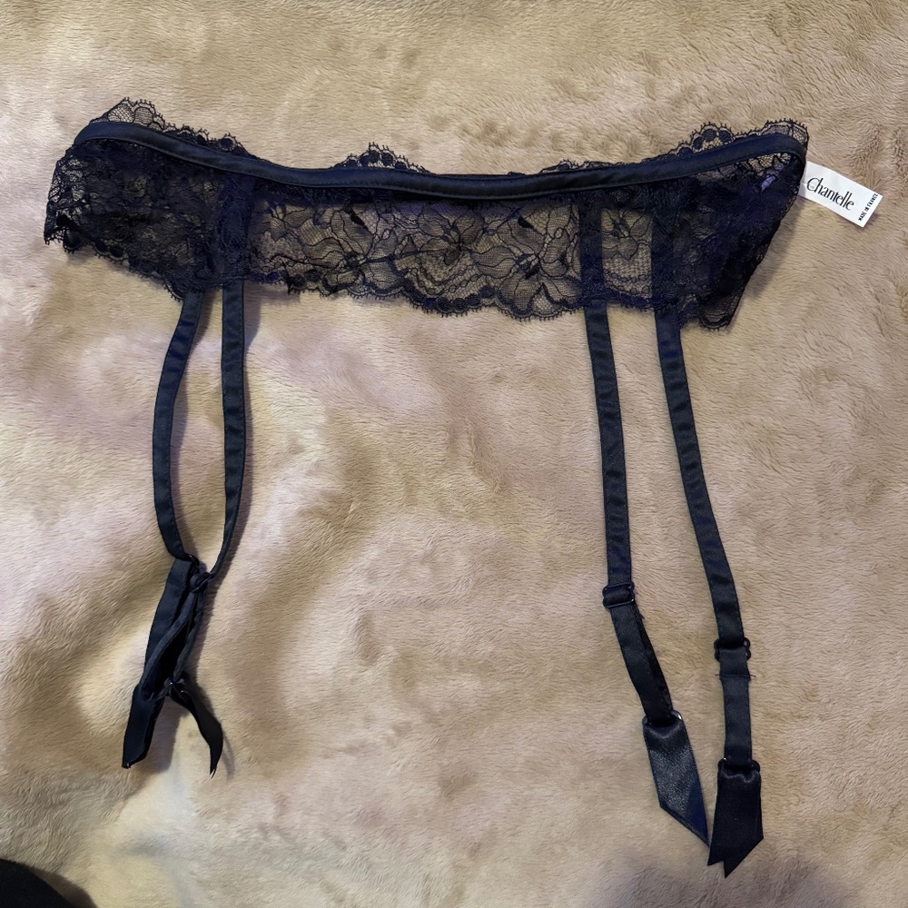 Chantelle Chantilly Lace Garter Belt #2808 M NWOT